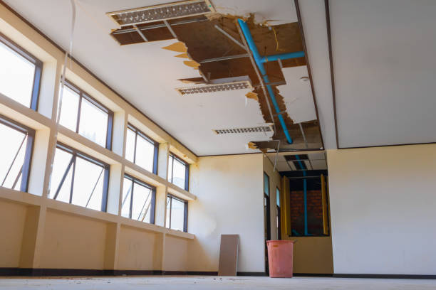Best Water damage repair service  in Lamar, MO