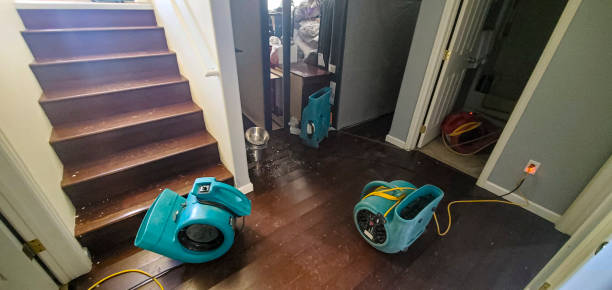 Carpet water damage restoration in MO