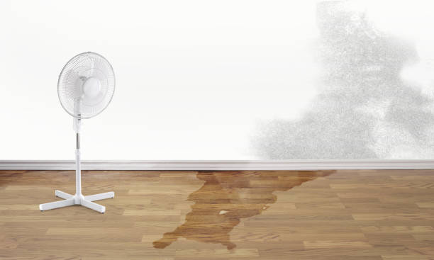 Best Flood damage cleanup  in Lamar, MO