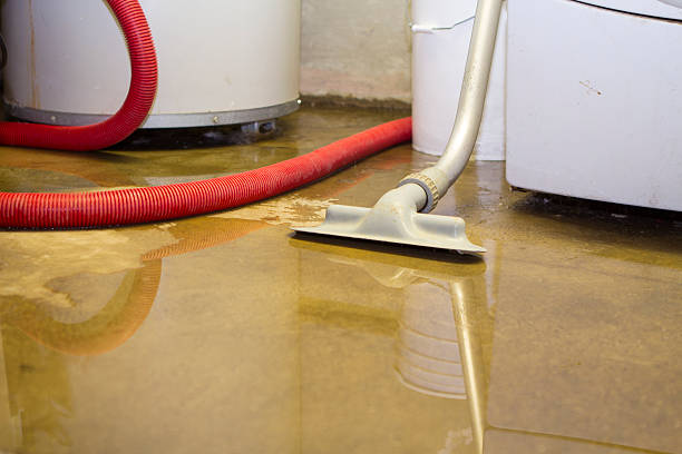 Best Commercial water damage restoration  in Lamar, MO