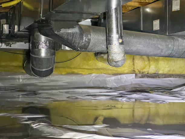 Best Carpet water damage restoration  in Lamar, MO