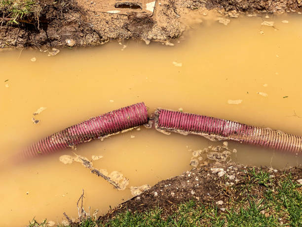 Best Residential water damage restoration  in Lamar, MO
